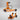 Dynamoto single-sided rear stand and front sled set in orange for Triumph